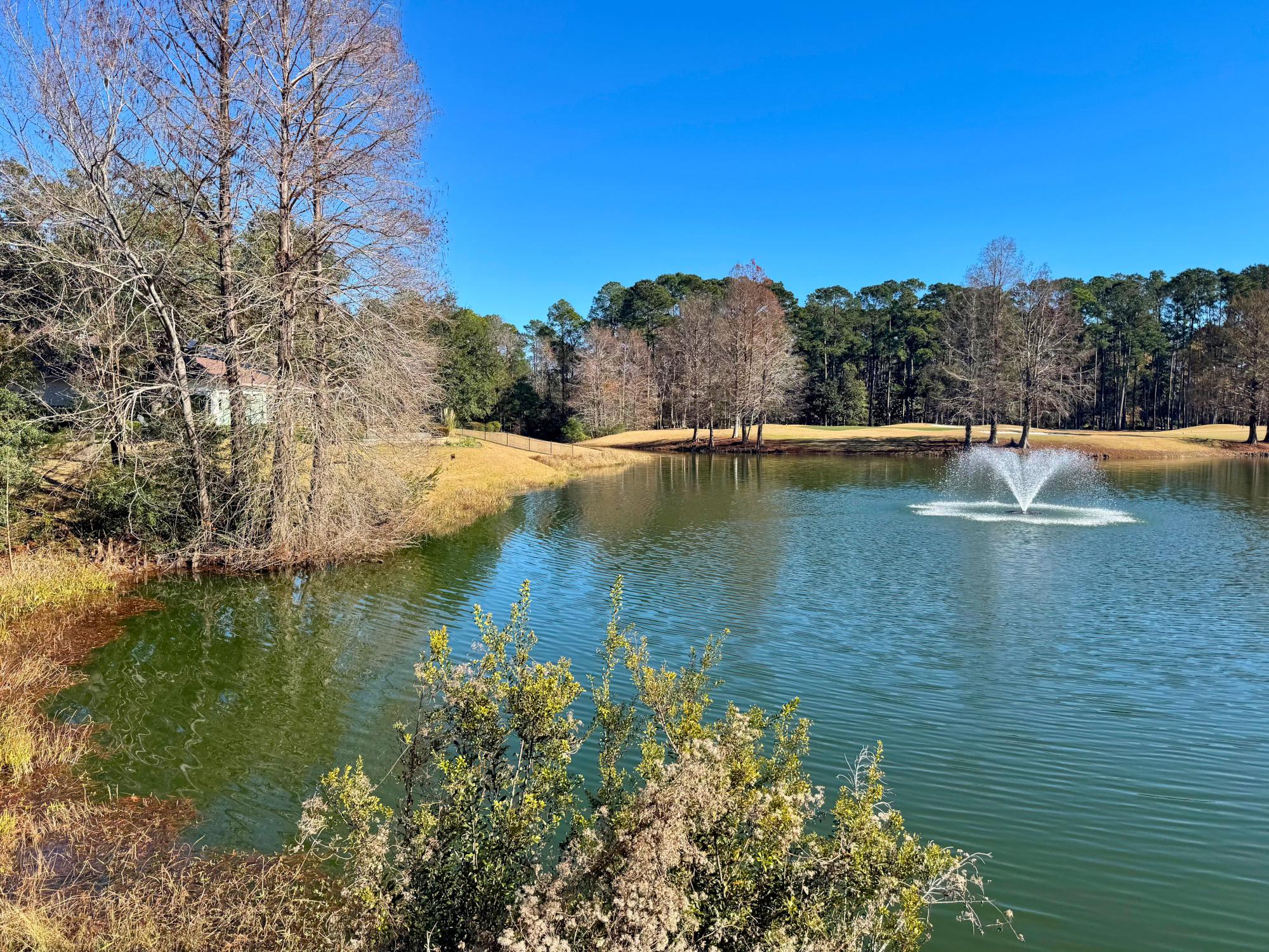 Sun City Residential Landscaping