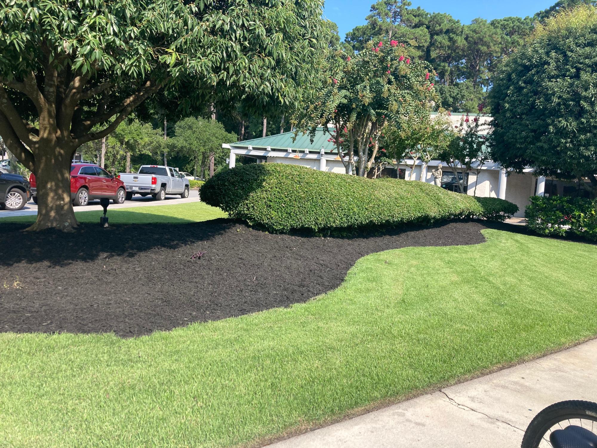 Plaza Commercial Landscaping Plaza Commercial Landscaping