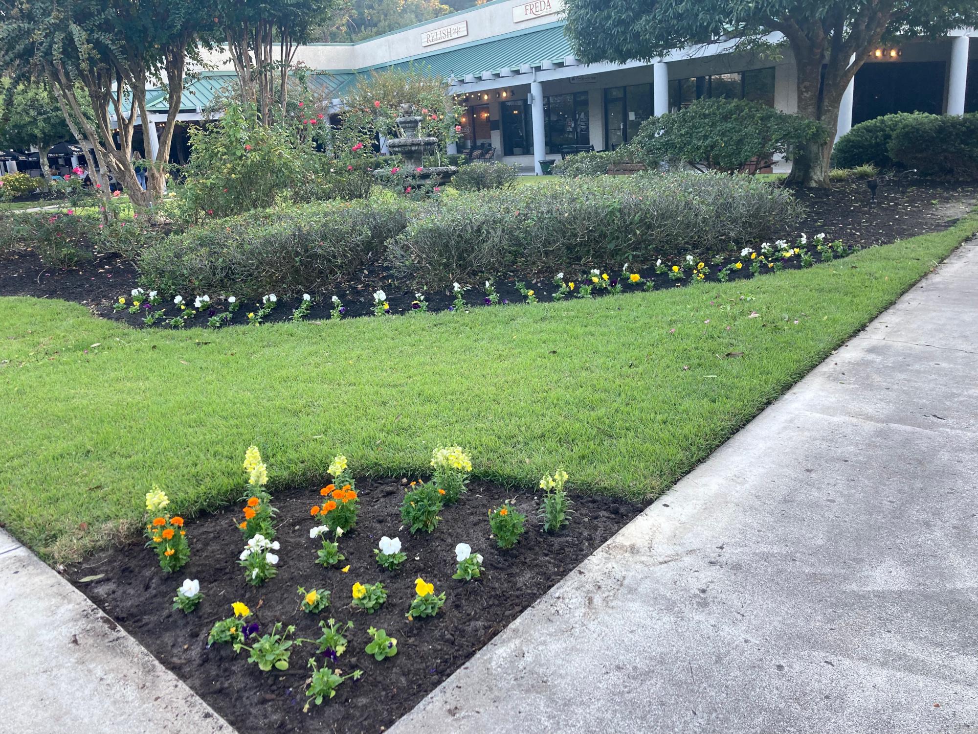 Plaza Commercial Landscaping Plaza Commercial Landscaping