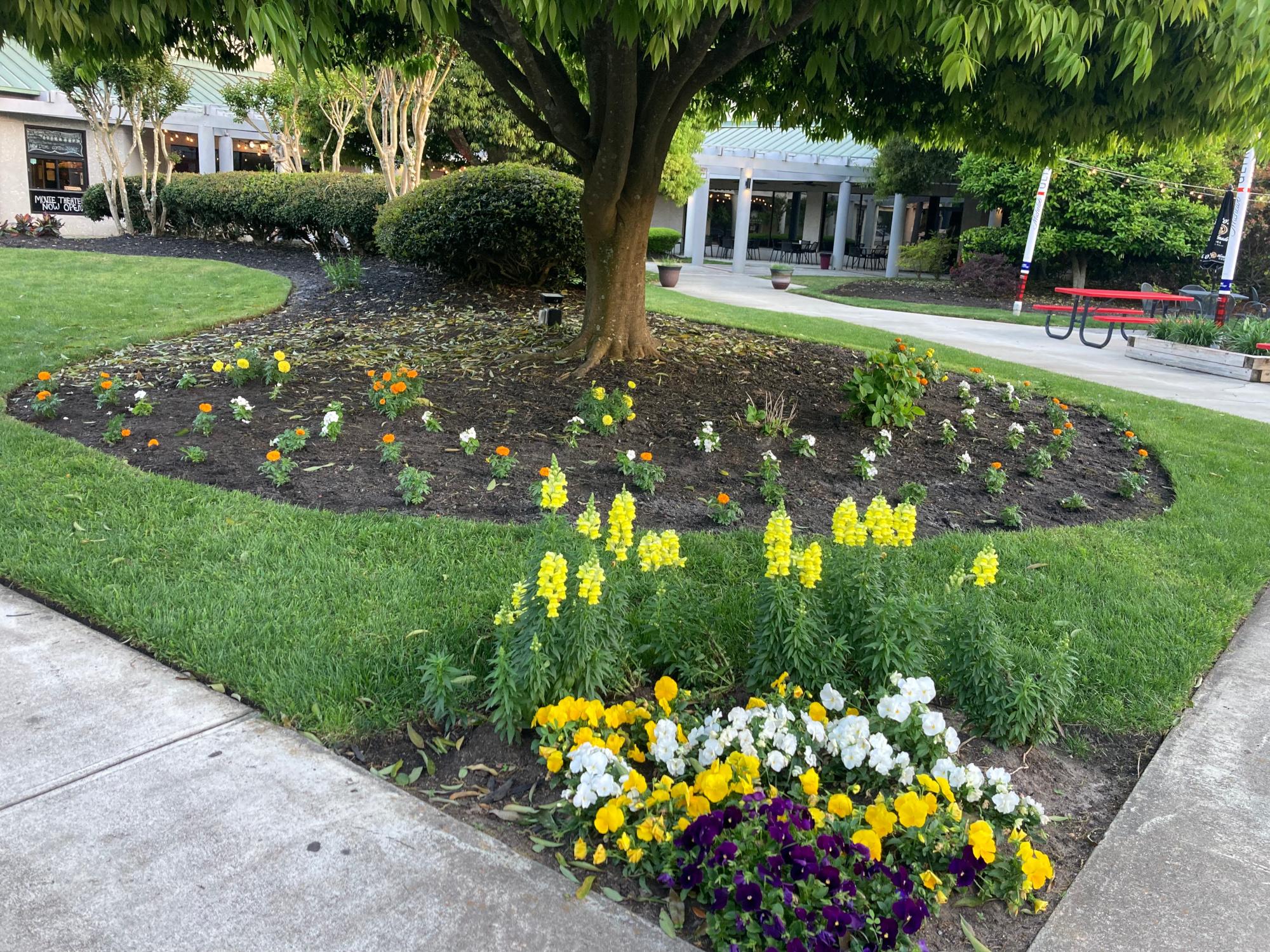 Plaza Commercial Landscaping Plaza Commercial Landscaping