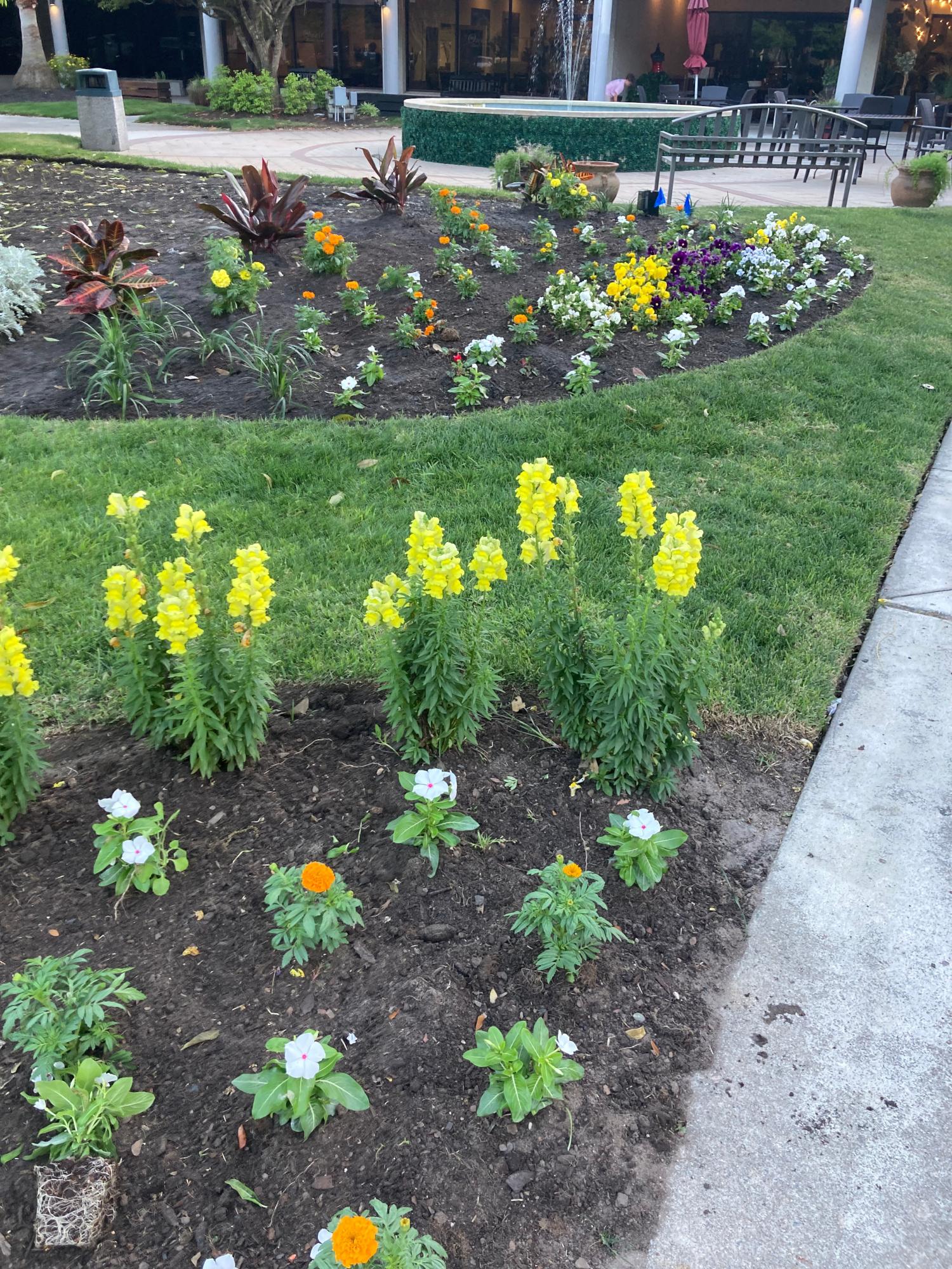 Plaza Commercial Landscaping Plaza Commercial Landscaping