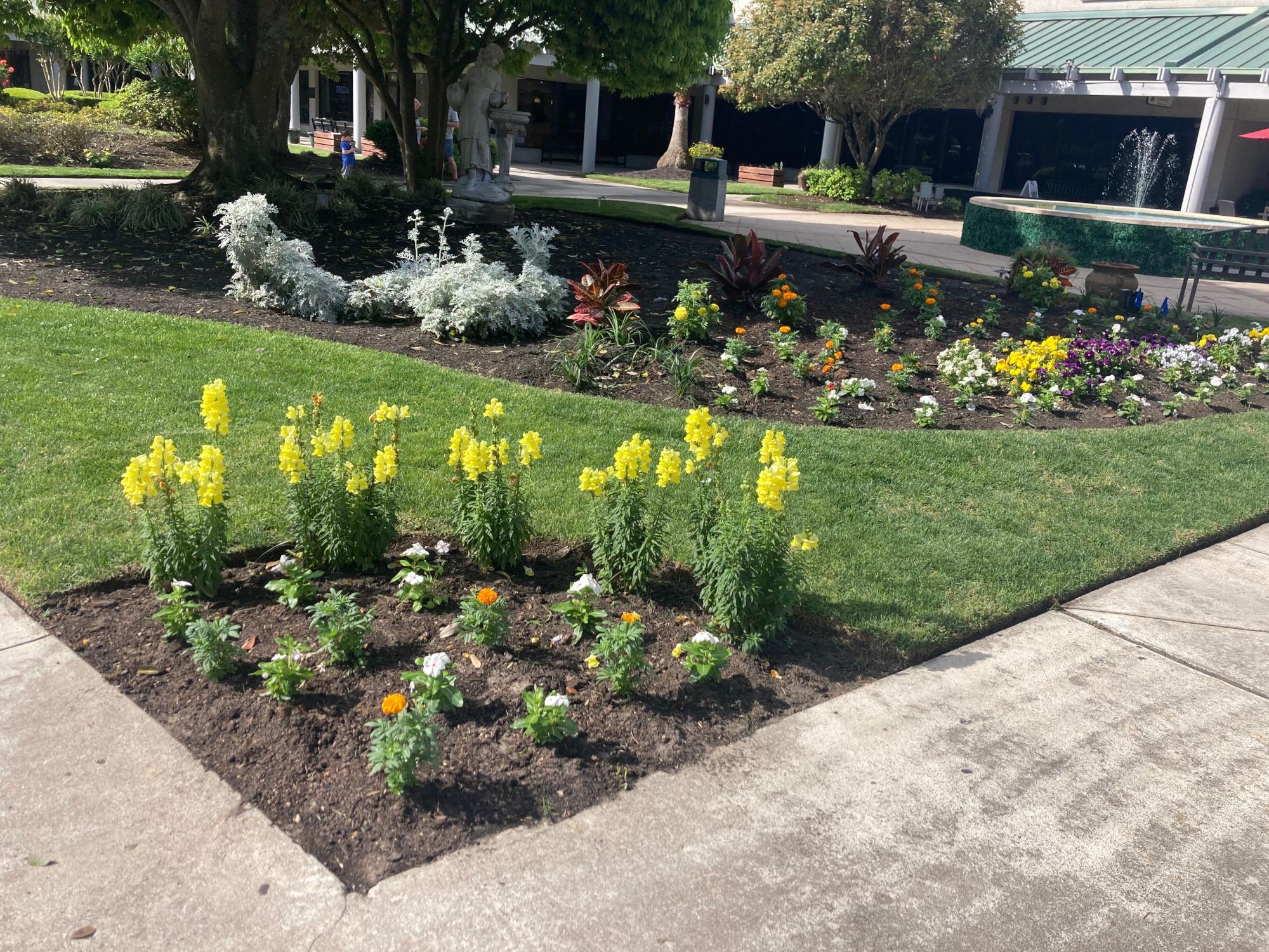 Plaza Commercial Landscaping Plaza Commercial Landscaping